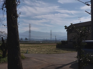 a0156611_774920.jpg