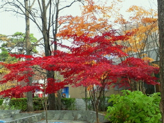 a0151913_13272456.jpg