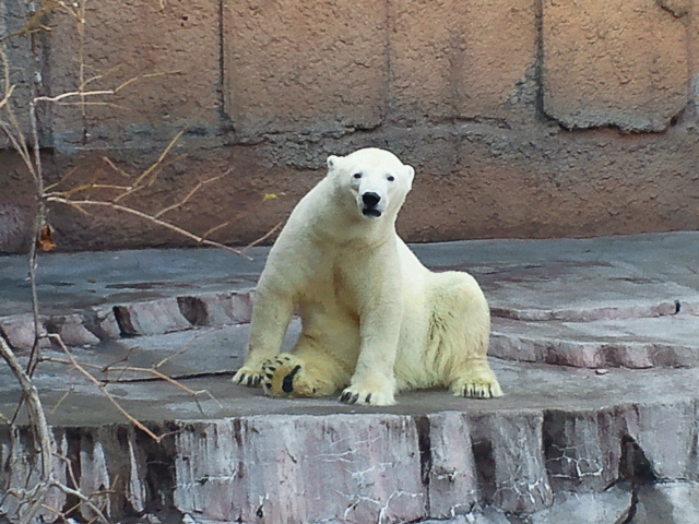 a0151913_13272457.jpg