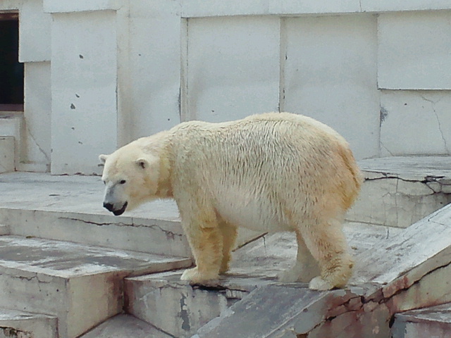 a0151913_13272482.jpg