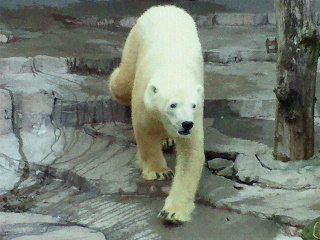 a0151913_17104754.jpg