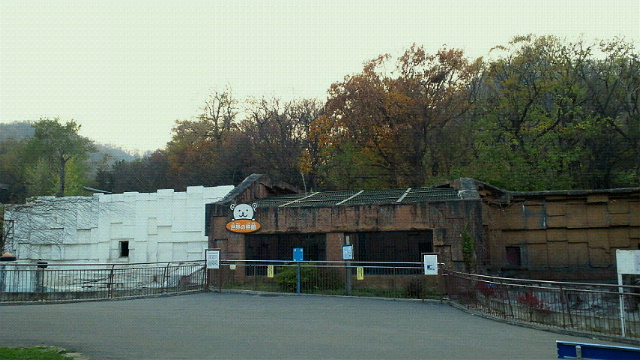 a0151913_17104869.jpg