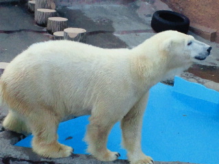 a0151913_17104881.jpg
