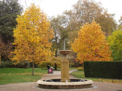 e0114020_241492.jpg