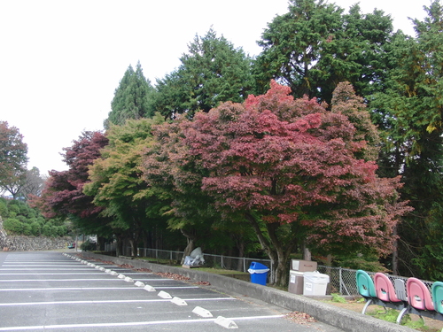 e0179321_2151381.jpg