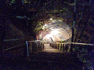 b0073322_1683638.jpg