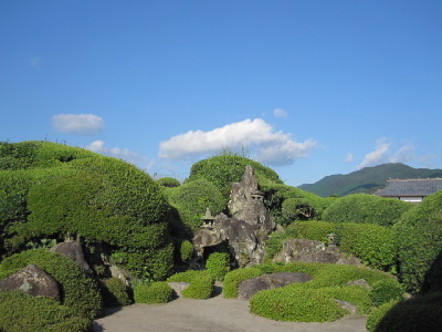 d0107326_1181231.jpg