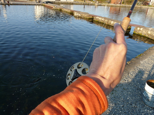 e0147226_0103516.jpg