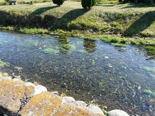 e0147226_0134898.jpg