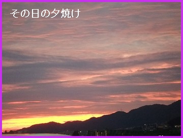 a0151727_1657199.jpg