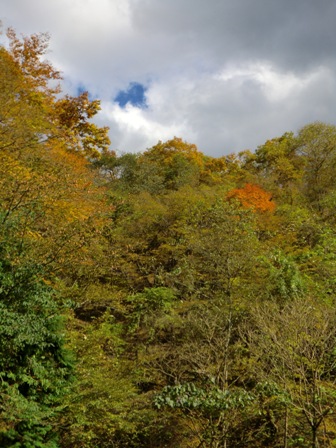 d0130927_22135233.jpg