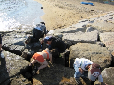 e0088332_012338.jpg