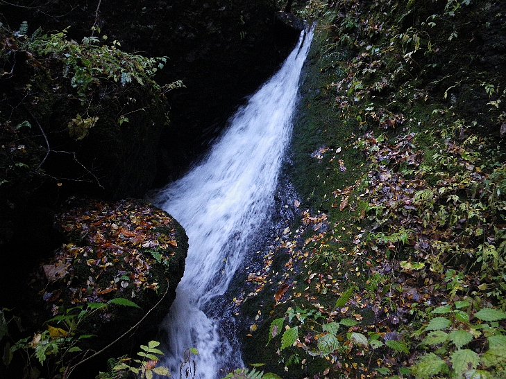 f0118332_22455461.jpg
