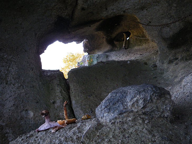 f0118332_23123392.jpg