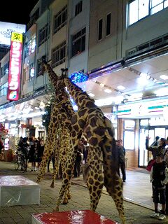 f0210439_22274561.jpg