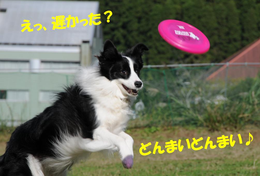 c0147241_21282960.jpg