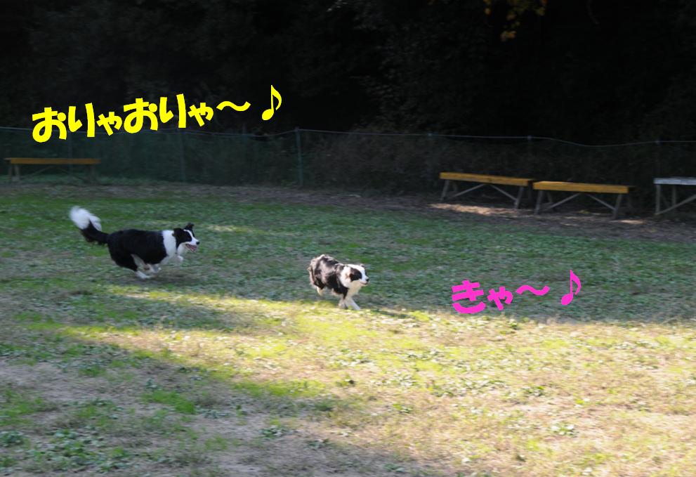 c0147241_21294924.jpg