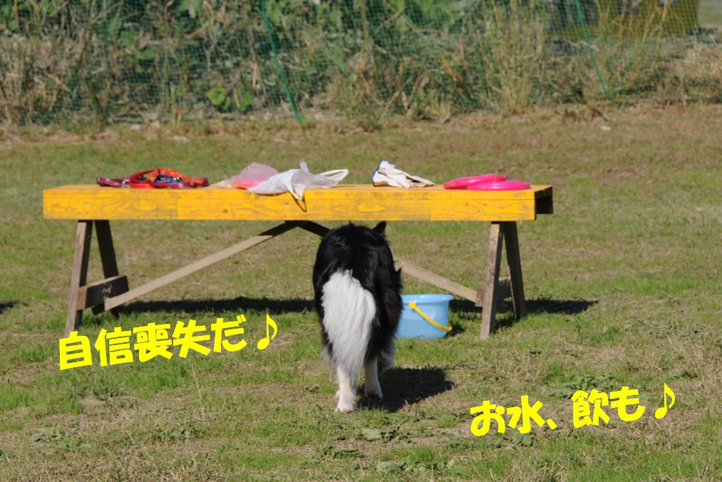c0147241_21301778.jpg