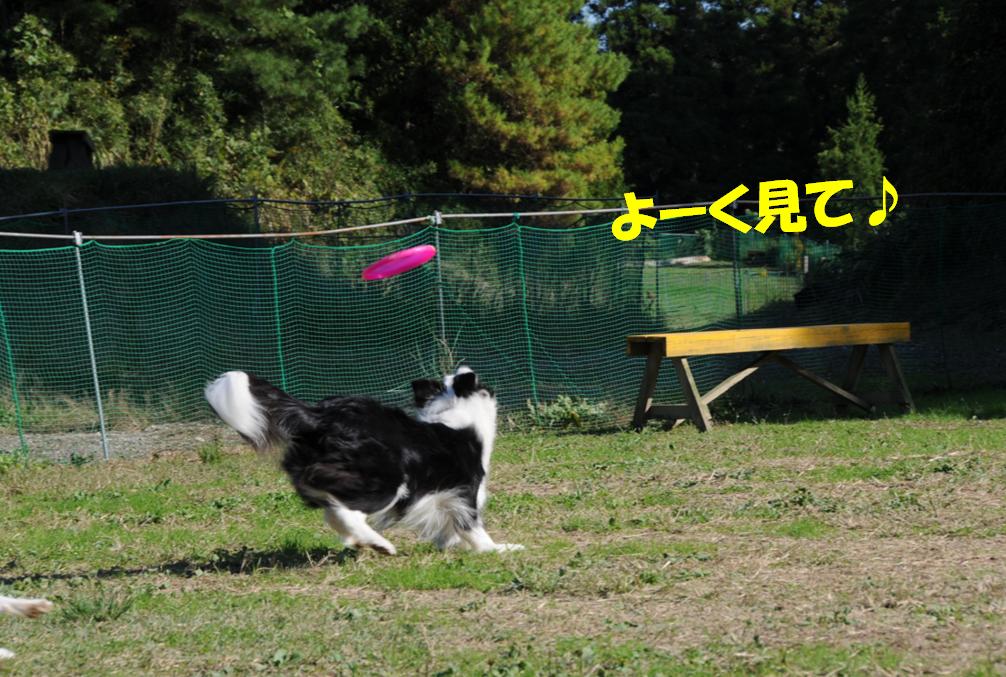 c0147241_21302916.jpg