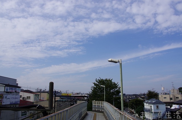 a0009142_1632098.jpg