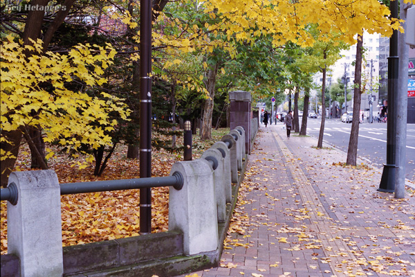 f0166545_22423683.jpg