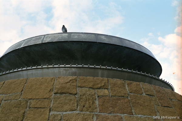 f0166545_22425833.jpg
