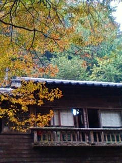 d0173650_20561442.jpg