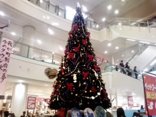 c0206352_20552440.jpg