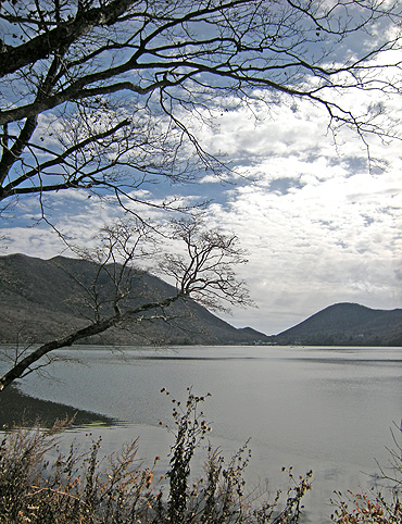 a0001354_2137465.jpg