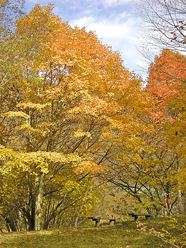 a0001354_214139.jpg