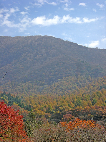 a0001354_21433845.jpg
