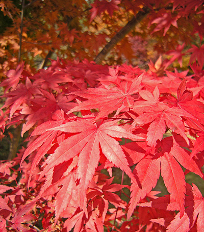 a0001354_21444582.jpg