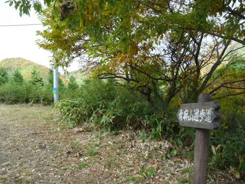 c0116856_23415433.jpg