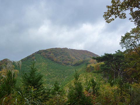c0116856_2342541.jpg