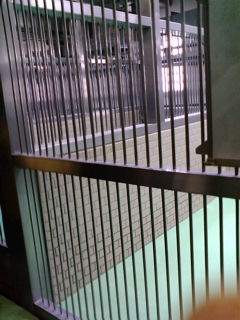c0031157_19122981.jpg
