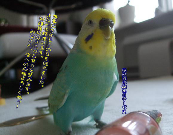 f0149057_06335.jpg