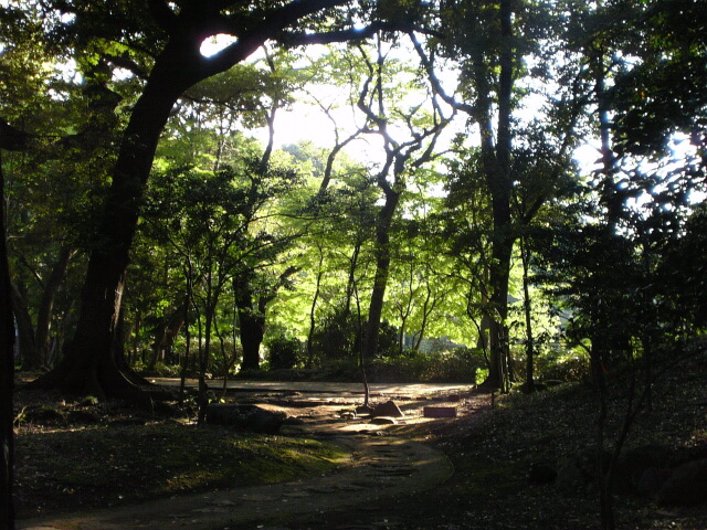 e0083359_0433016.jpg