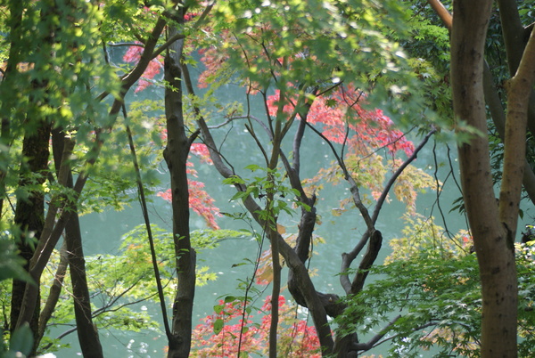 c0135361_9291323.jpg