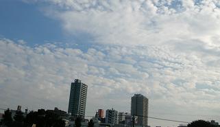 f0139963_14325265.jpg