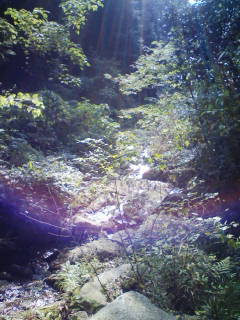 e0206464_17193773.jpg
