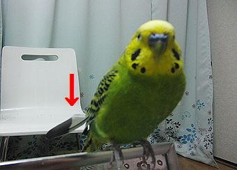 f0196665_0183779.jpg