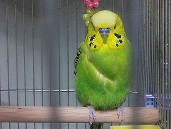 f0196665_0362590.jpg