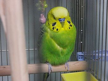 f0196665_0513665.jpg