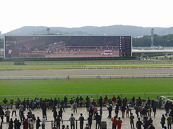 f0196665_23313793.jpg