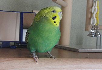 f0196665_23522373.jpg