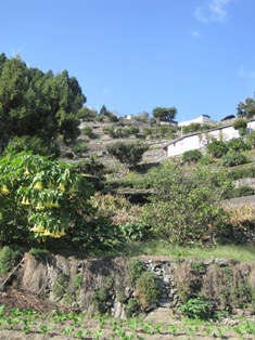 f0230568_23434752.jpg