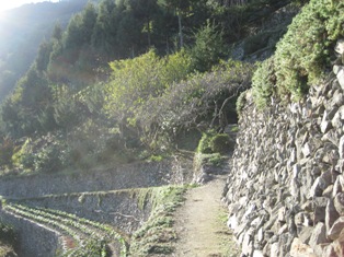 f0230568_23463486.jpg