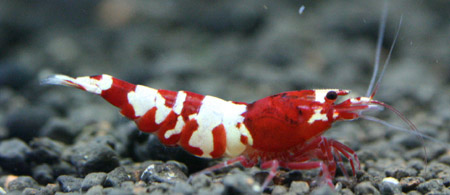 f0224970_18473314.jpg