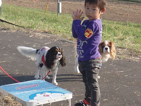 f0047773_18103543.jpg
