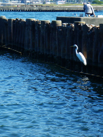 c0197578_19285580.jpg